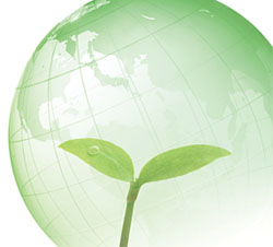 fitur proyektor portable