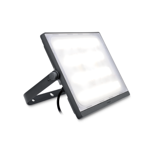 Philips Flood Light